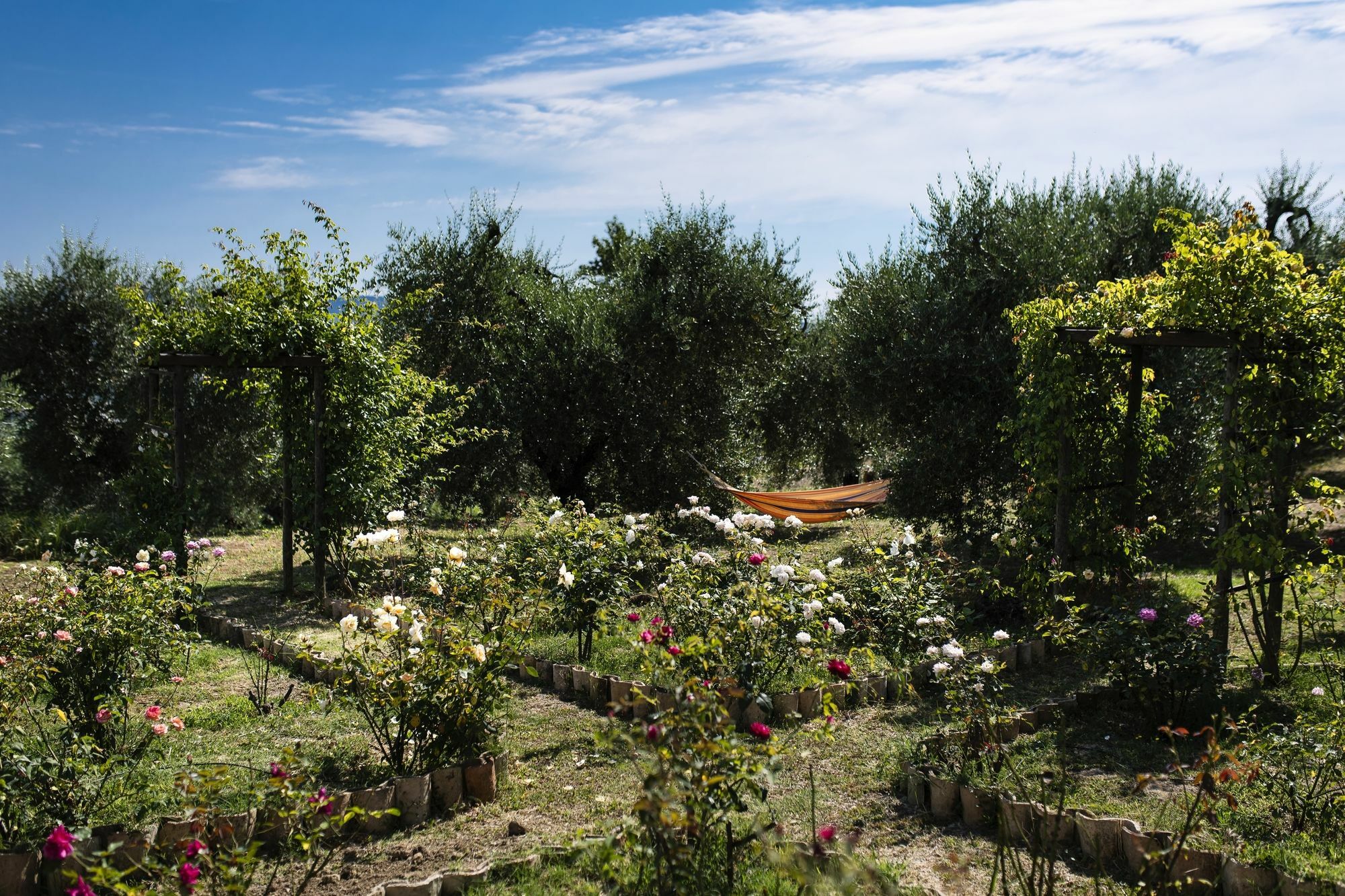 Orvieto Aroma Rooms 2 Esterno foto